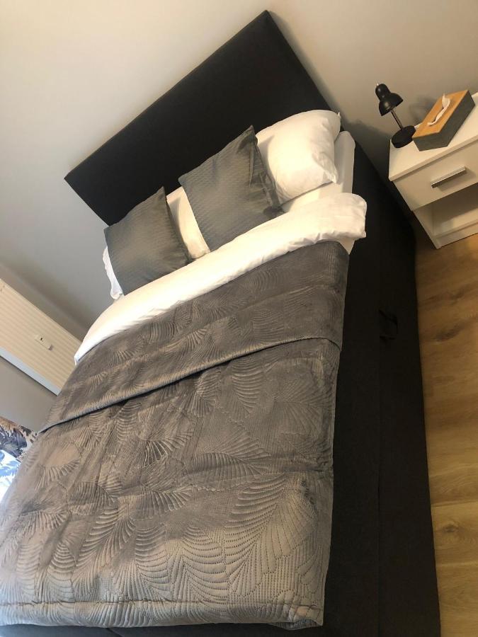 N&S Apartament Na Lisiej Zielona Góra Extérieur photo